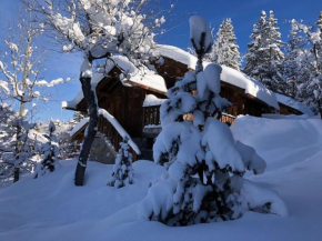 MERIBEL centre 1600 chalet au milieu des pistes 8 couchages 4 adultes 4 enfants